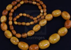 A single strand graduated oval amber bead necklace, gross weight 64 grams, 78cm.