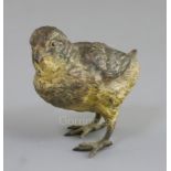 A 19th century Austrian cold painted bronze model of a fledgling, 3.5in.