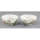 A pair of Chinese famille rose bowls, Xuantong mark and possibly of the period, each painted with