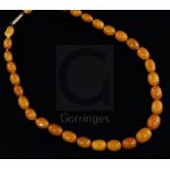 A single strand graduated oval amber bead necklace, gross weight 40 grams, 49cm.