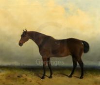 J. Hardy (19th C.)oil on canvasChestnut stallion in a landscapesigned22.5 x 27.5in.