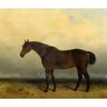 J. Hardy (19th C.)oil on canvasChestnut stallion in a landscapesigned22.5 x 27.5in.