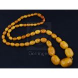 A single strand graduated amber bead necklace, gross weight 69 grams, 70cm.