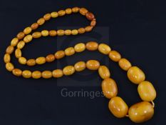 A single strand graduated amber bead necklace, gross weight 69 grams, 70cm.