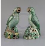Two similar Chinese enamelled biscuit figures of parrots, Kangxi period, each seated on pierced