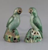 Two similar Chinese enamelled biscuit figures of parrots, Kangxi period, each seated on pierced