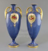 A pair of Royal Worcester two handled vases painted with panels of fruit by E. Townsend on a