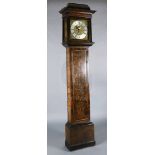Sam Macham of London, A William and Mary mulberry cased eight-day longcase clock, the 12 inch square