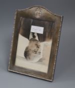 A white metal mounted dome topped photograph frame with monogram and coronet, 25.5cm.