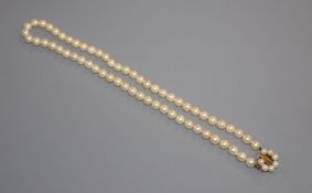 A single strand cultured pearl necklace, with 14k and cultured pearl cluster set clasp, 52cm.