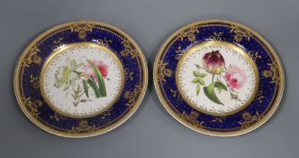 A pair of Derby style plates