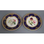 A pair of Derby style plates