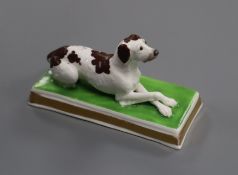 An English porcelain figure of a recumbent brown and white setter, c.1830-50, possibly Davenport, L.
