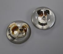 Two domed circular Essex crystals, each decorated with the head of a dog. 29mm.