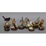 Eight Atlas Edition British bird models, boxed