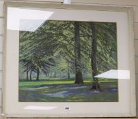William Henry Innes (1905-1999)pastelWoodland in springsigned, Exhibition label verso46 x 56cm.