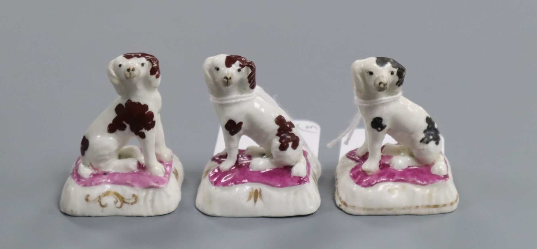 Three Staffordshire porcelain figures of King Charles spaniels, with puce enamel to the bases, H.