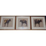 Spanish School, 3 gouaches, Studies of donkeys, 21 x 24cm.