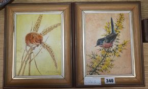 Marcus Stone, 2 oils on board, Dartford Warbler and Harvest Mouse, 19 x 14cm