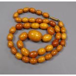 A single strand graduated oval amber bead necklace with yellow metal clasp, gross weight 39 grams,