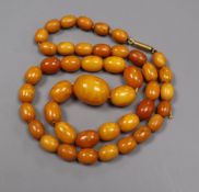 A single strand graduated oval amber bead necklace with yellow metal clasp, gross weight 39 grams,