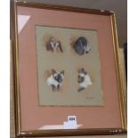 G. Beningfield, watercolour, study of Siamese cats and spaniels, signed, 29 x 25cm
