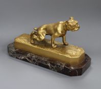 An Austrian gilt bronze of a bulldog signed Jarl 19.5 x 12cm