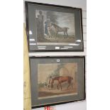 Two antique coloured engravings of horses 'Eagle' and 'Parasol', largest 38 x 49cm