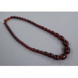 A single strand graduated simulated cherry amber necklace, gross 75 grams, 60cm.