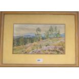 R. Martineau, watercolour, Heathland, signed and dated 1908, 22 x 38cm