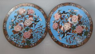 A pair of Japanese cloisonne dishes diameter 30.5cm