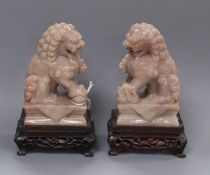 A pair of Chinese hardstone Buddhist lions, wood stands height 13cm