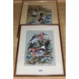 Robert Morton, two watercolours, Jays and Pintails, signed and dated 69/70, 31 x 23cm and 29 x 22cm