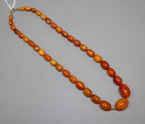 A single strand graduated amber bead necklace, gross 26 grams, 48cm.