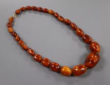 A single strand graduated oval amber bead necklace, gross weight, 107grams, 58cm.