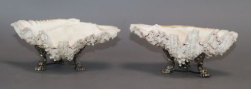 A pair of mounted shell salts