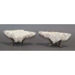 A pair of mounted shell salts