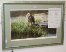 David Shepherd (1931-2017), limited edition signed print, 'The Bandipur Tiger', No. 33/350