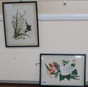 19th century Chinese School, two gouache on pith paper, Studies of insects and flowers, 18 x 27cm