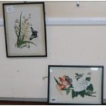 19th century Chinese School, two gouache on pith paper, Studies of insects and flowers, 18 x 27cm