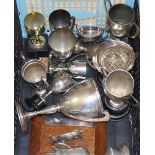 Fourteen assorted silver plated trophy cups