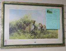 David Shepherd (1931-2017), limited edition signed print, 'Leopards', No. 271/350