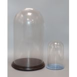 Two glass domes tallest 43cm