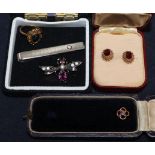 An Edwardian silver and paste bug brooch, a gold tiepin, a pair of gold ear studs, a paste set tie