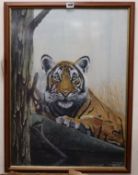 Ranthambore School of Art, oil on silk, Study of a tiger lying on a branch, 1996, signed Sunil