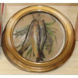 Two gilt-framed embossed card fish pictures