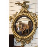 A William IV gold painted giltwood convex wall mirror, with eagle surmount H.90cm