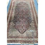 A Shirvan blue ground carpet (a.f.) 294 x 168cm