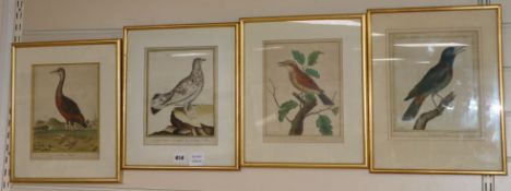 Four 18th century French coloured engravings of birds, 24 x 19cm