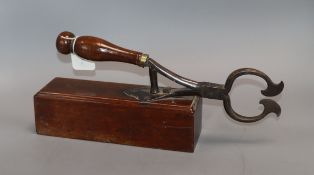 A pair of Georgian steel sugar cutters, with mahogany handle and block base